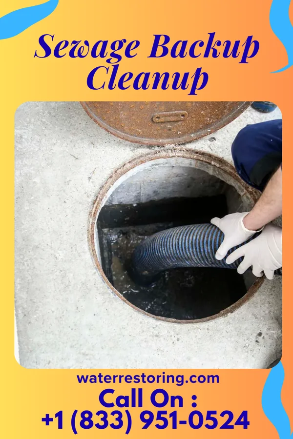 Sewage Backup Cleanup in Deerfield, WI